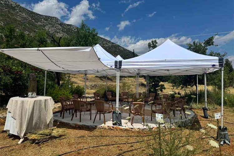τέντες εκδωλώσεων δελφοί